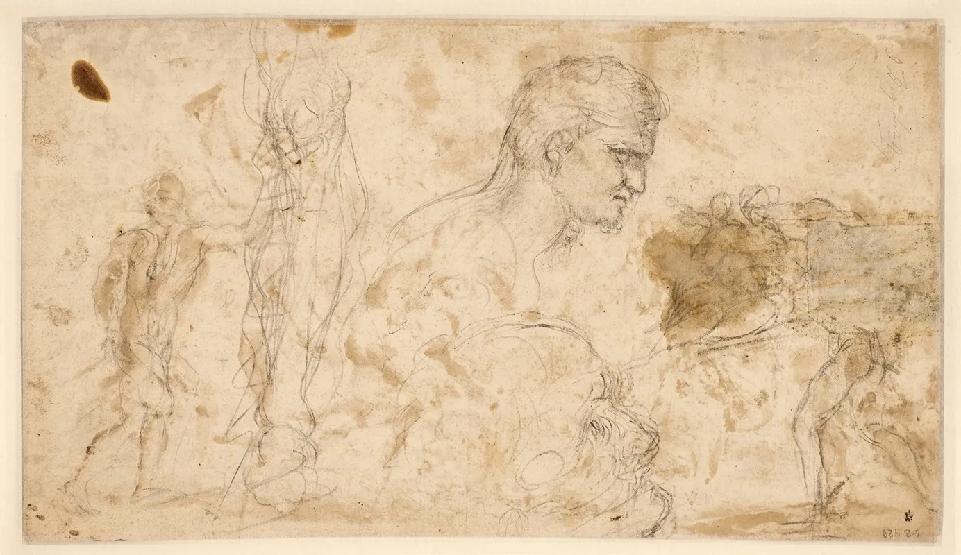 Studier Af Figurer Og Hoveder Figurerne Yderst Til Venstre Og Hojre Er Optegnet Fra Papirets Forside by Giovanni Angelo Canini - Canvas Print