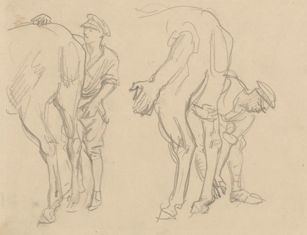 Studies For Scots Grey