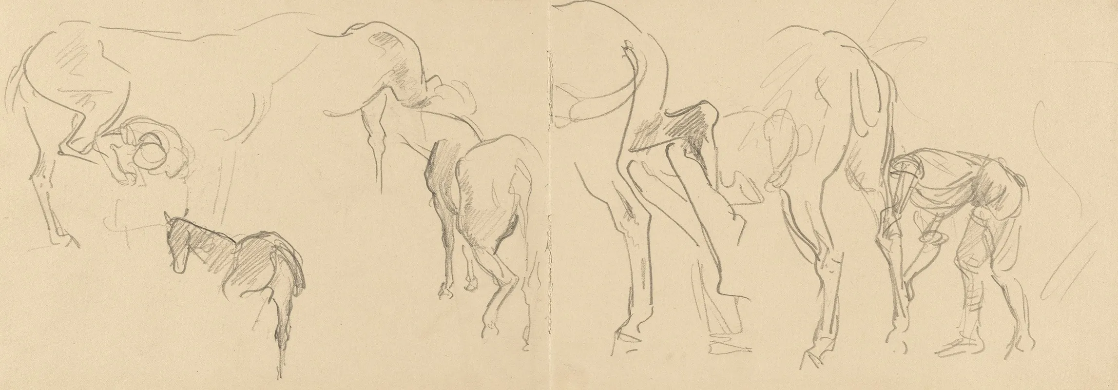 Studies For Shoeing Calvary Horses At The Front Recto