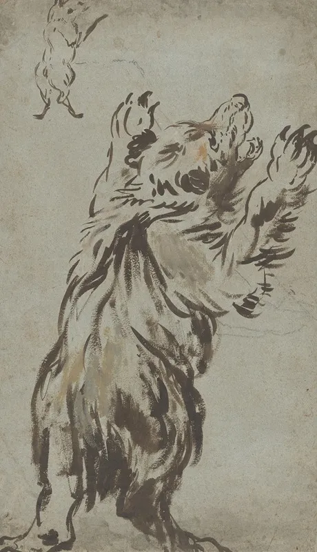 Studies Of A Bear by Leonaert Bramer - Canvas Print