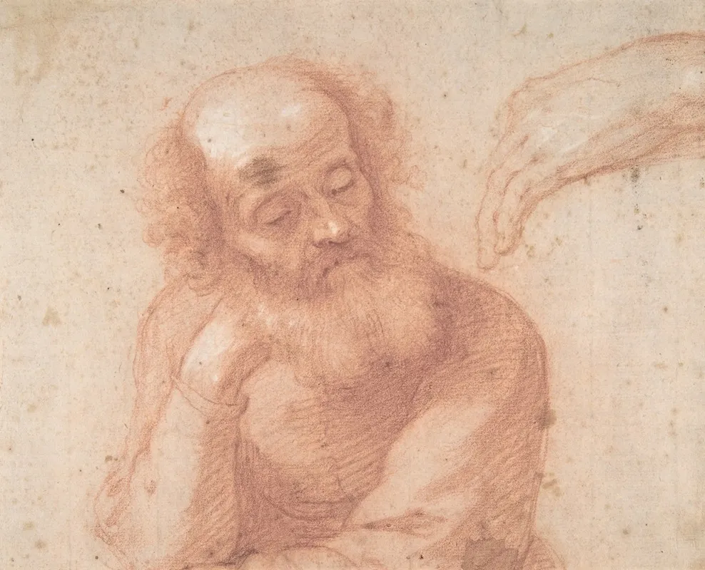 Studies Of An Old Man And A Hand by Francesco Furini - Canvas Print