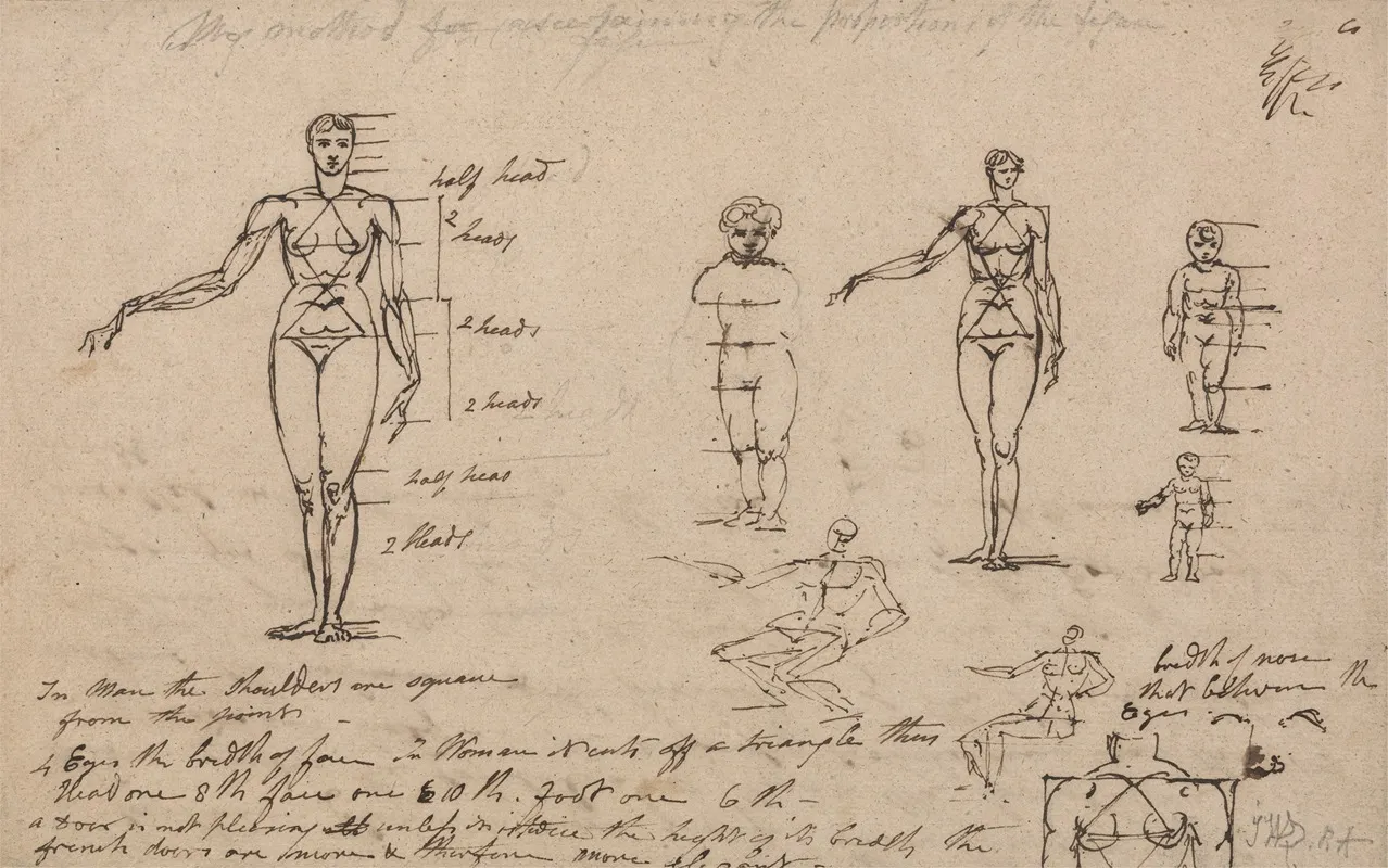 Studies Of Anatomy Measurements And Writing