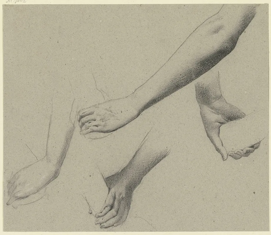 Studies Of Arms And Hands 2 by Wilhelm Gentz - Canvas Print