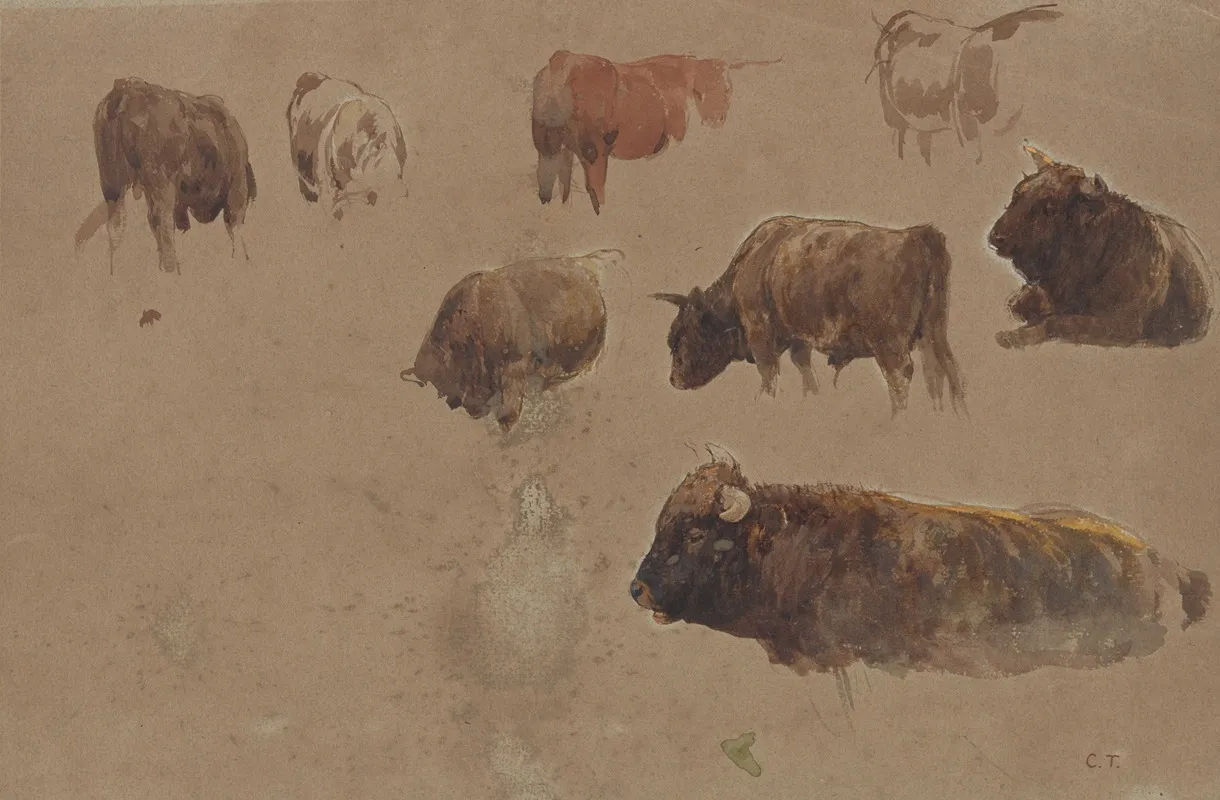 Studies Of Cattle 3