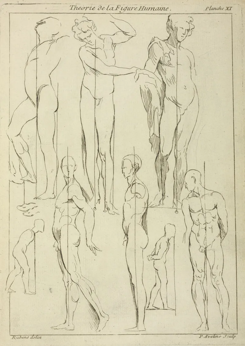 Studies Of Figures In Upright Positions