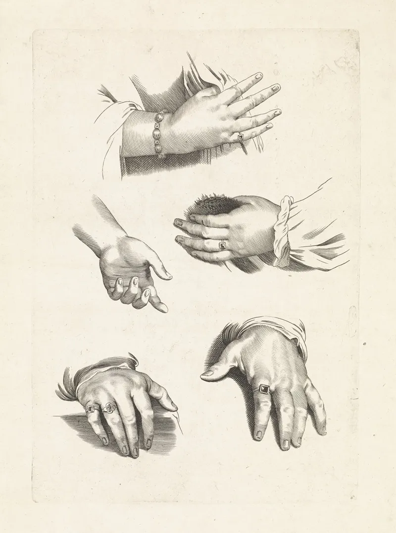 Studies Of Hands 13 by Paulus Pontius - Canvas Print