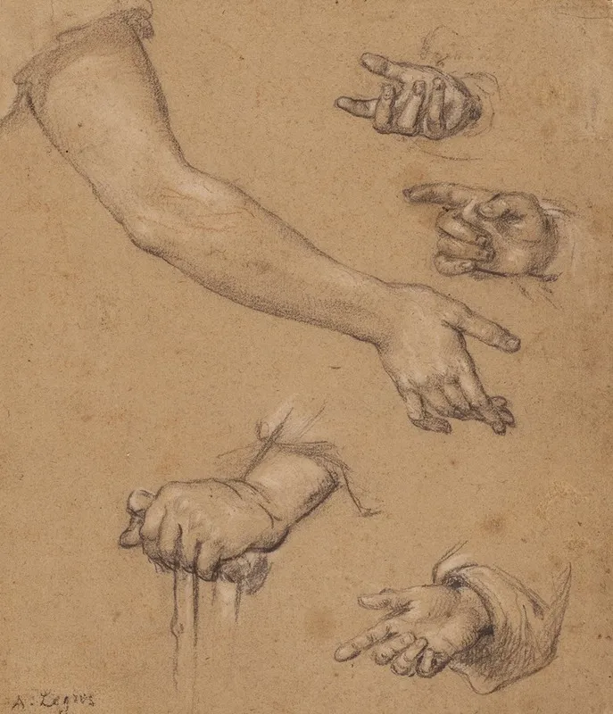 Studies Of Hands 8