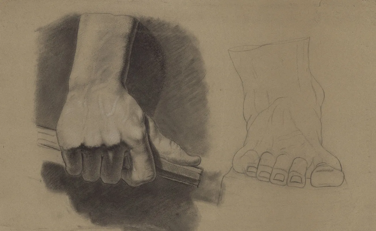 Studies Of Hands And Feet 2