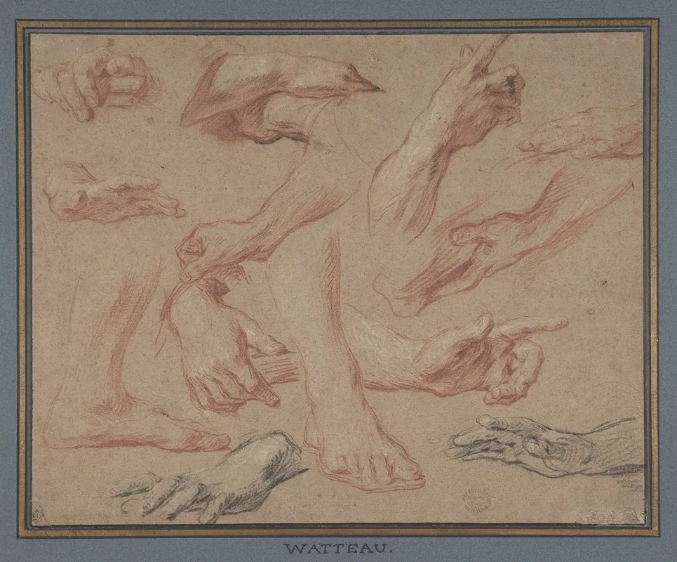 Studies Of Hands And Feet by François Lemoyne - Canvas Print