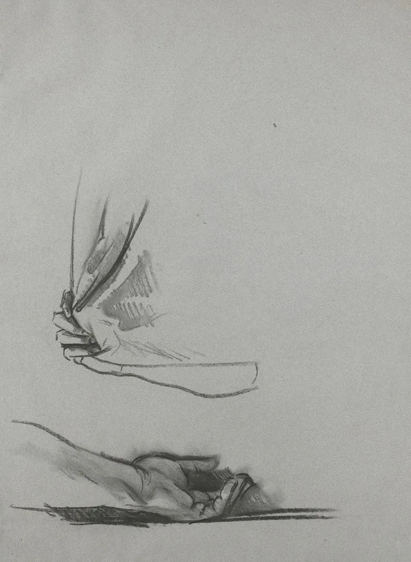 Studies Of Hands