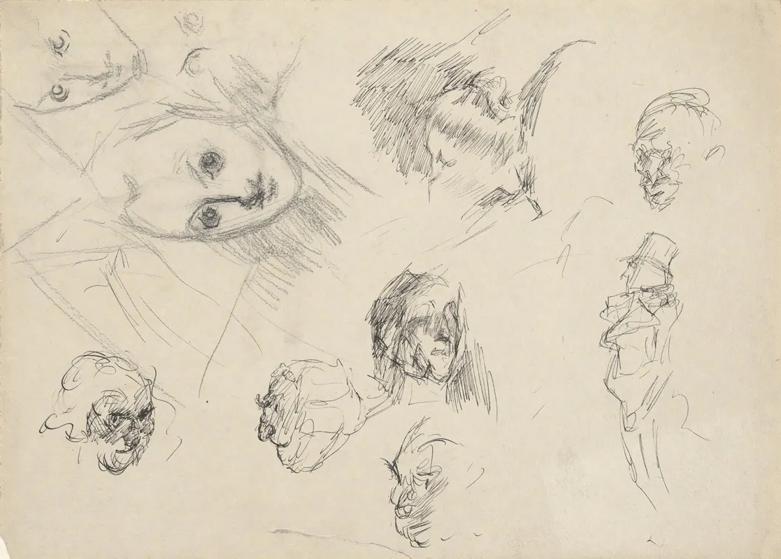 Studies Of Heads