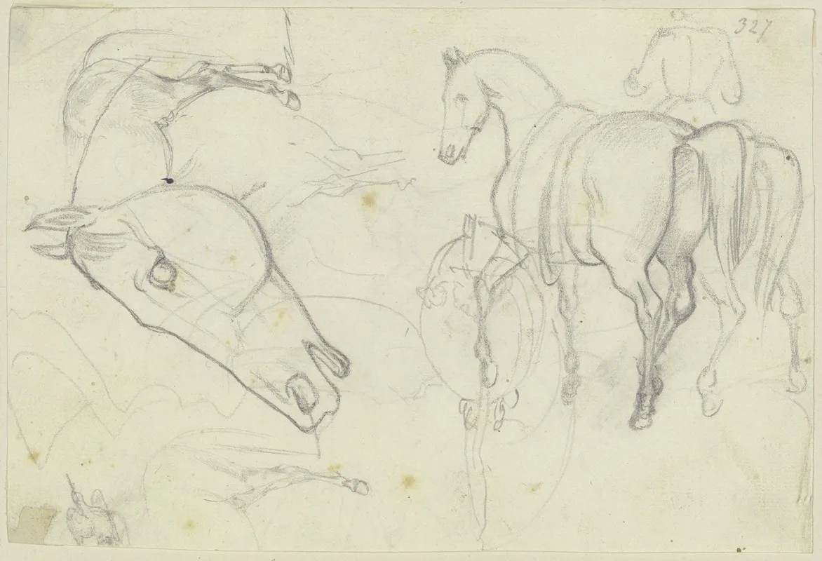 Studies Of Horses 3