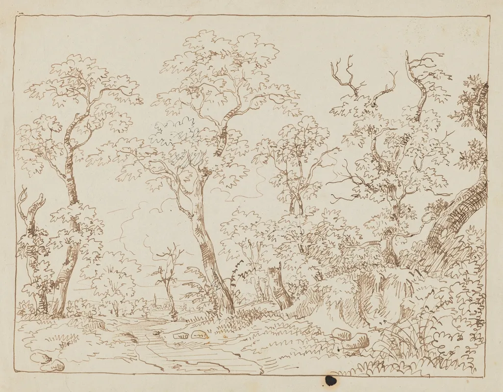 Studies Of Trees Landscape