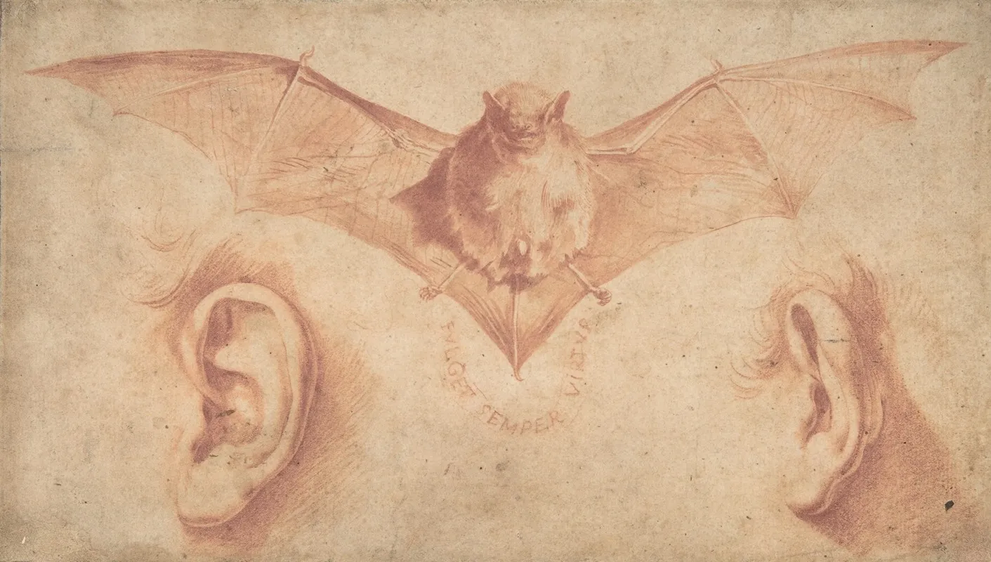 Studies Of Two Ears And Of A Bat