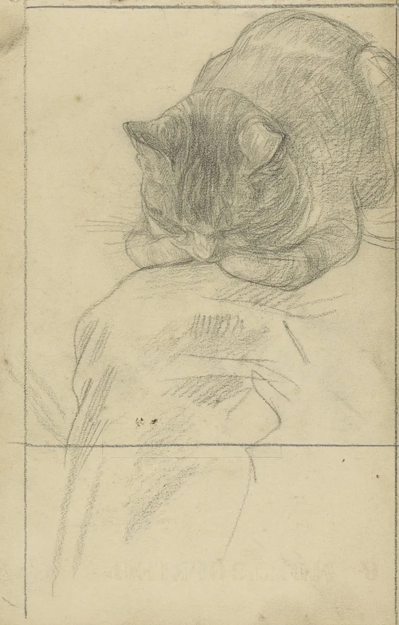 Studies Van Een Kat by Jan Veth - Canvas Print