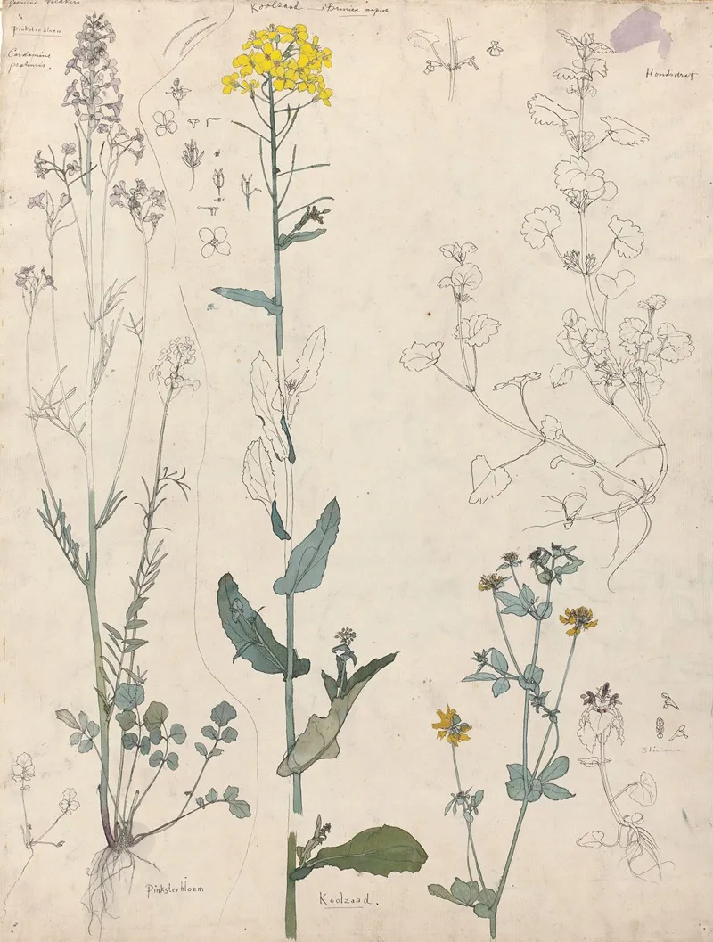 Studies Van Planten