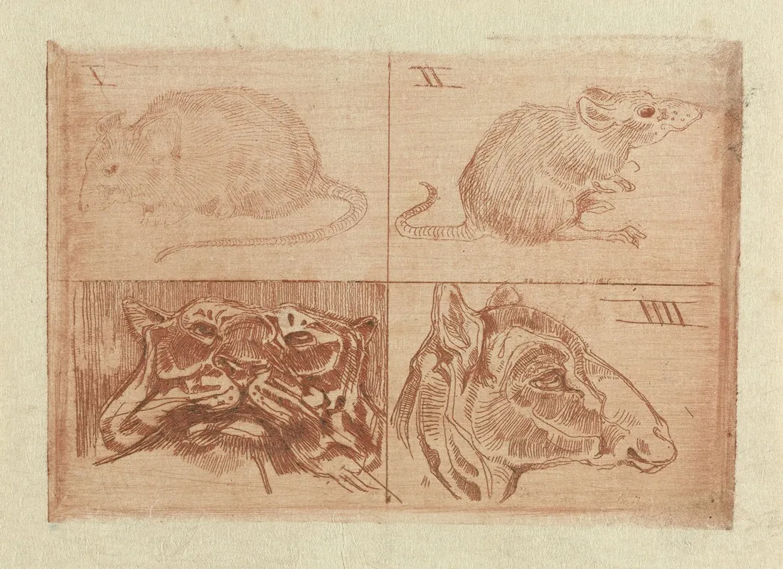 Studies Van Twee Muizen Een Tijgerkop En Een Kop Van Een Kameel