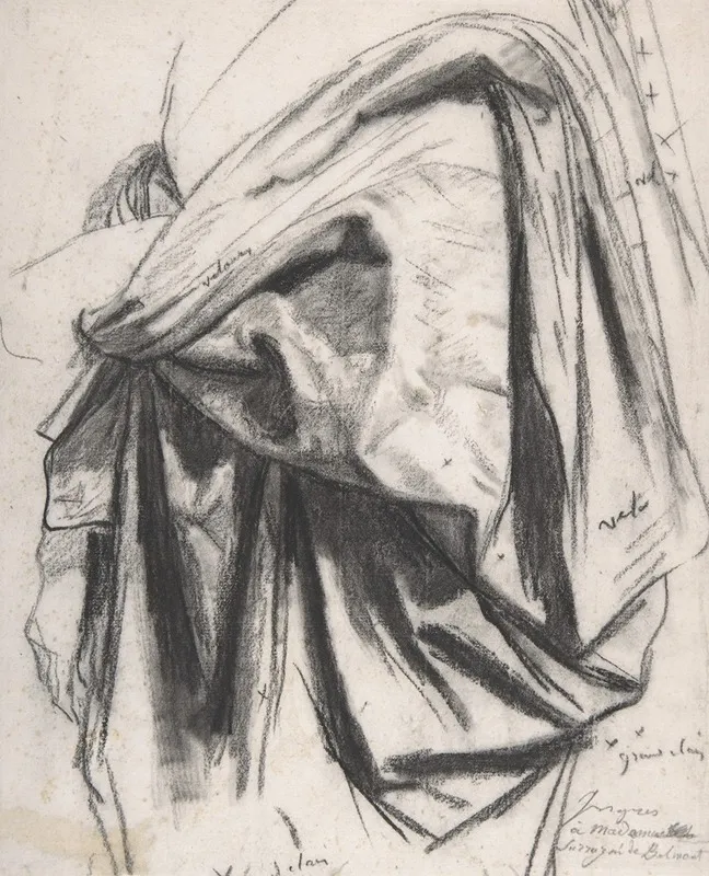 Study For The Drapery Of Moliere In The Apotheosis Of Homer