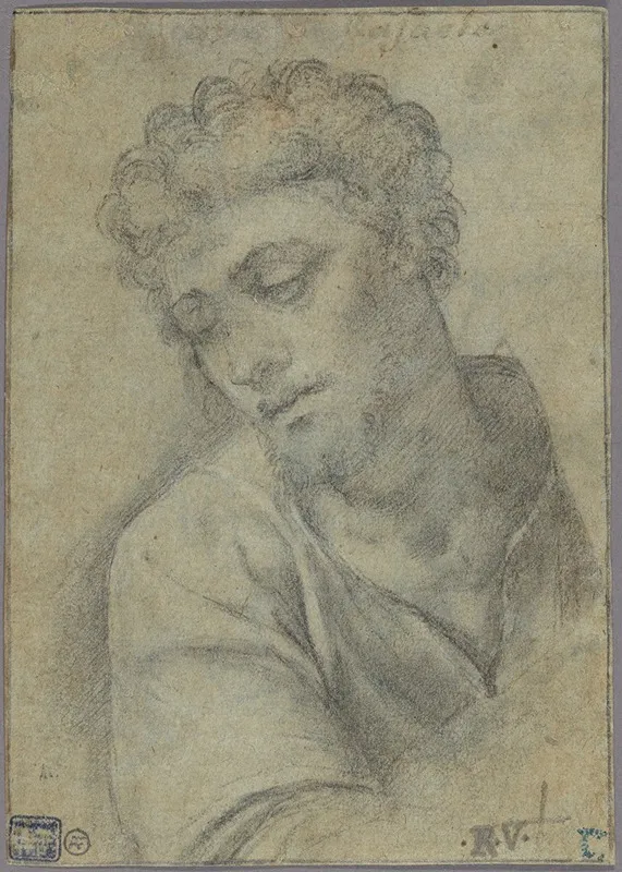 Study For The Figure Of Christ Carrying The Cross by Sebastiano del Piombo - Canvas Print