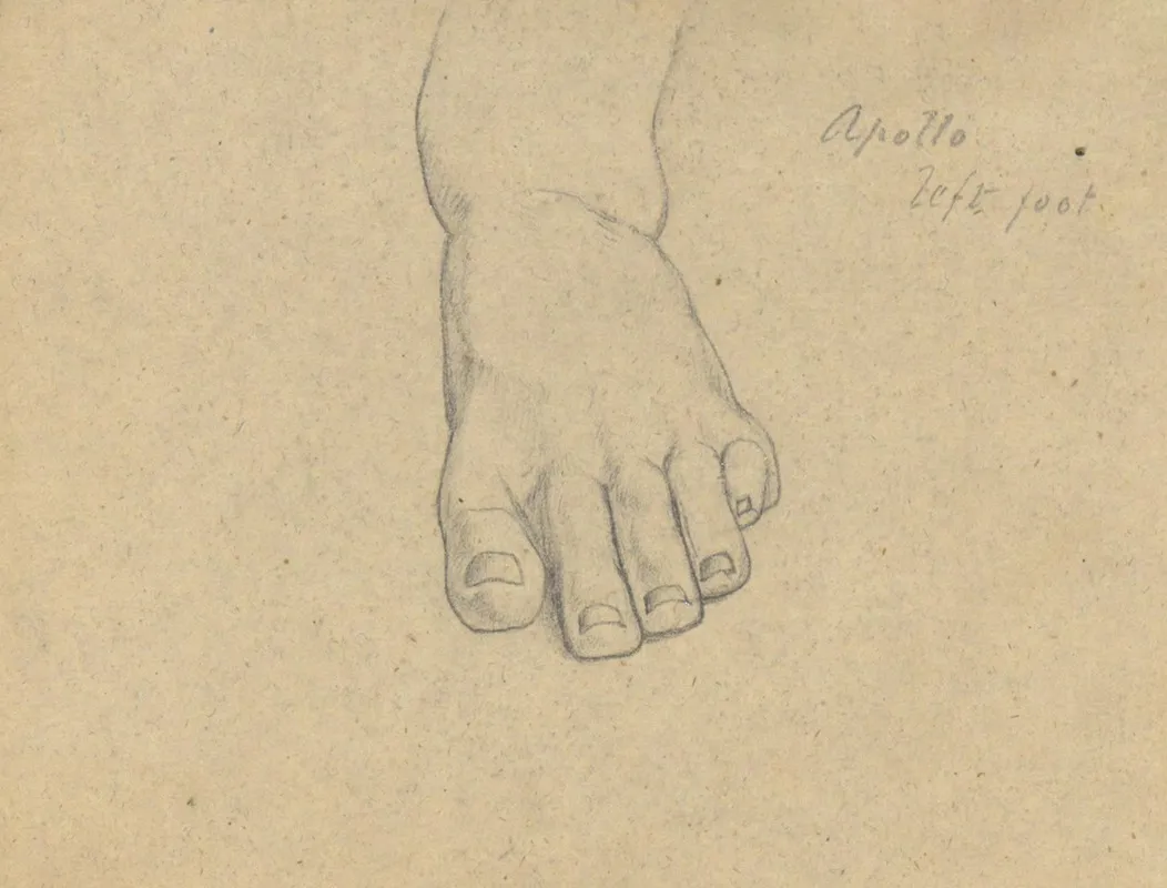 Study For The Judgment Of Jupiter Apollo Left Foot