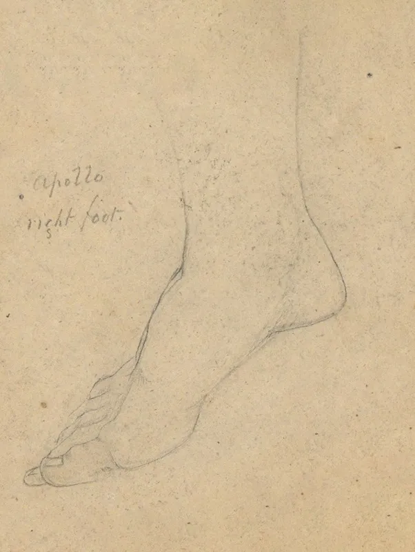 Study For The Judgment Of Jupiter Apollo Right Foot