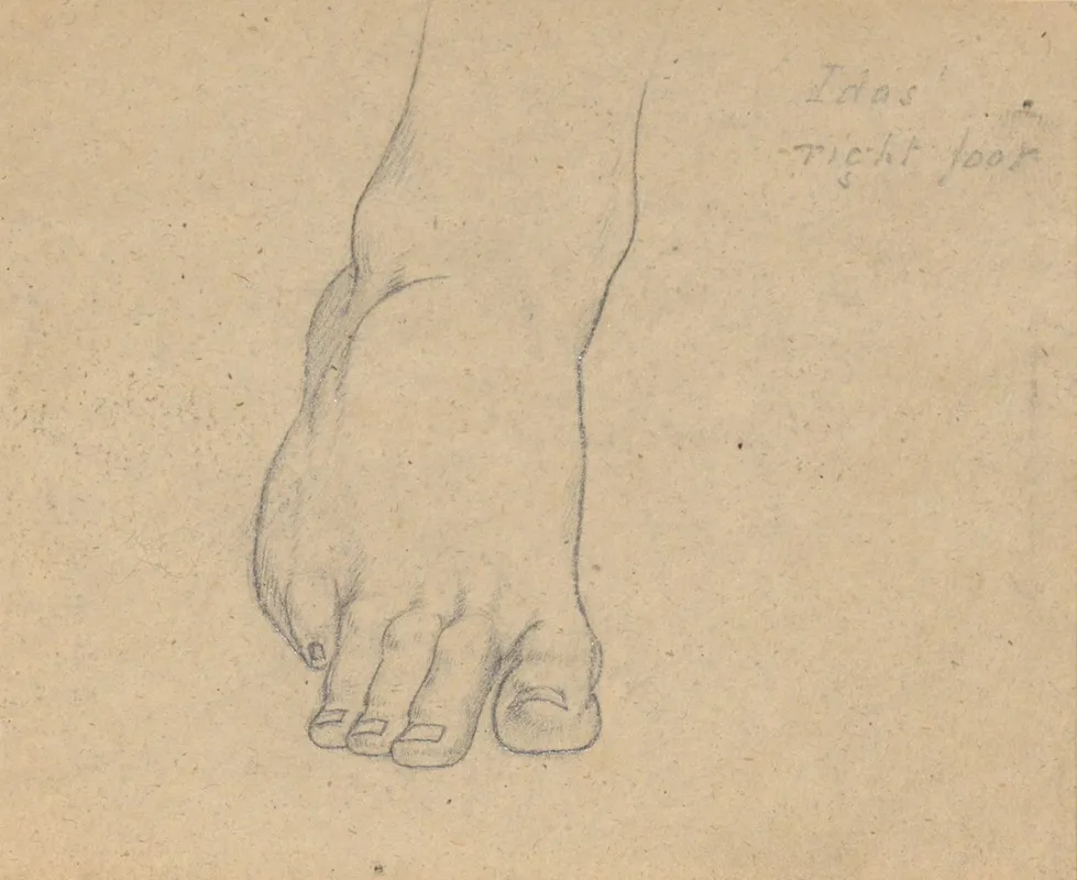 Study For The Judgment Of Jupiter Idas Right Foot