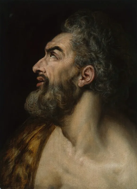 Study Head Of A Bearded Man