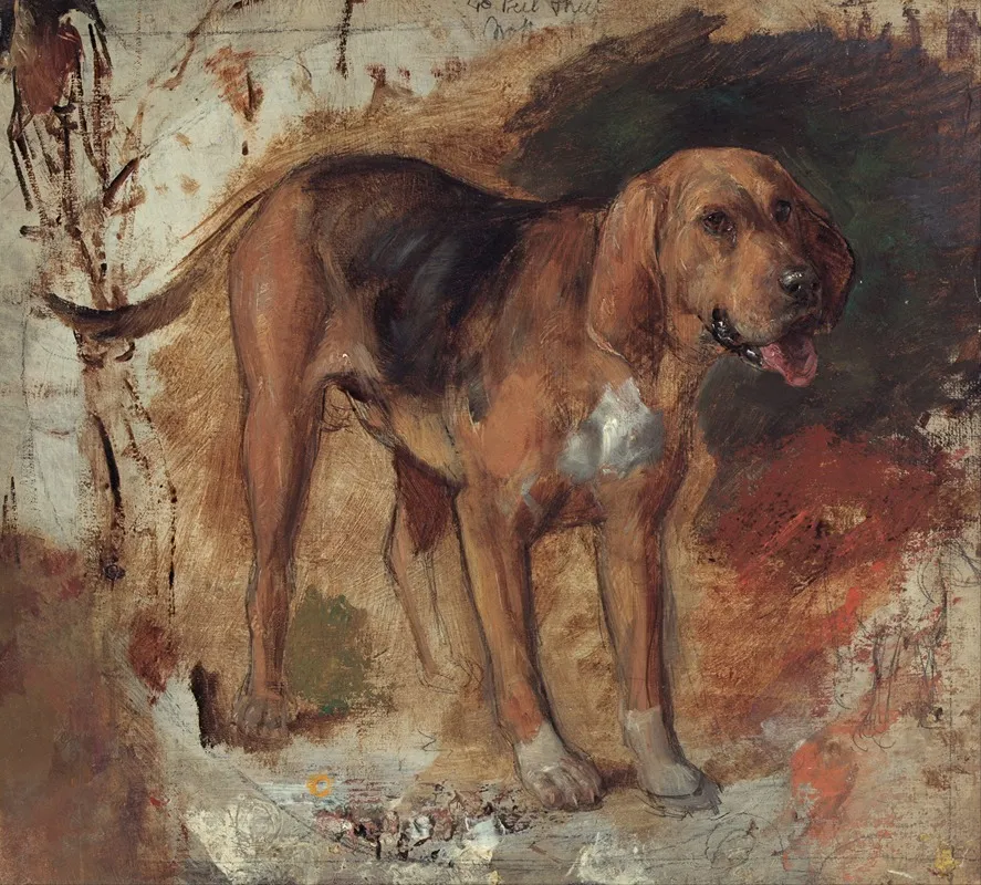 Study Of A Bloodhound by William Holman Hunt - Canvas Print