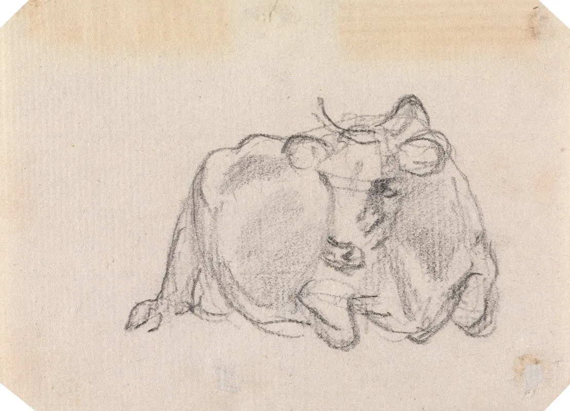 Study Of A Cow 6