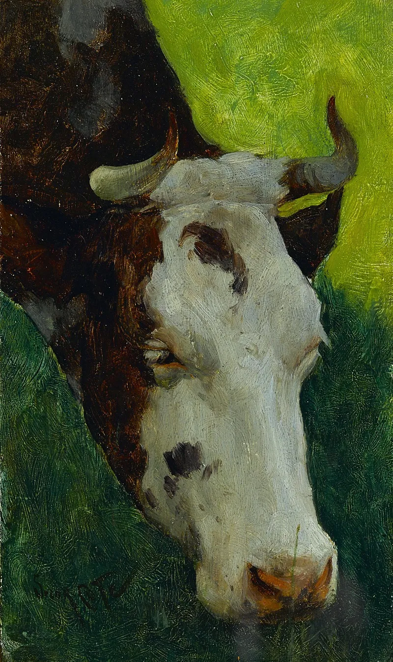 Study Of A Cow 7
