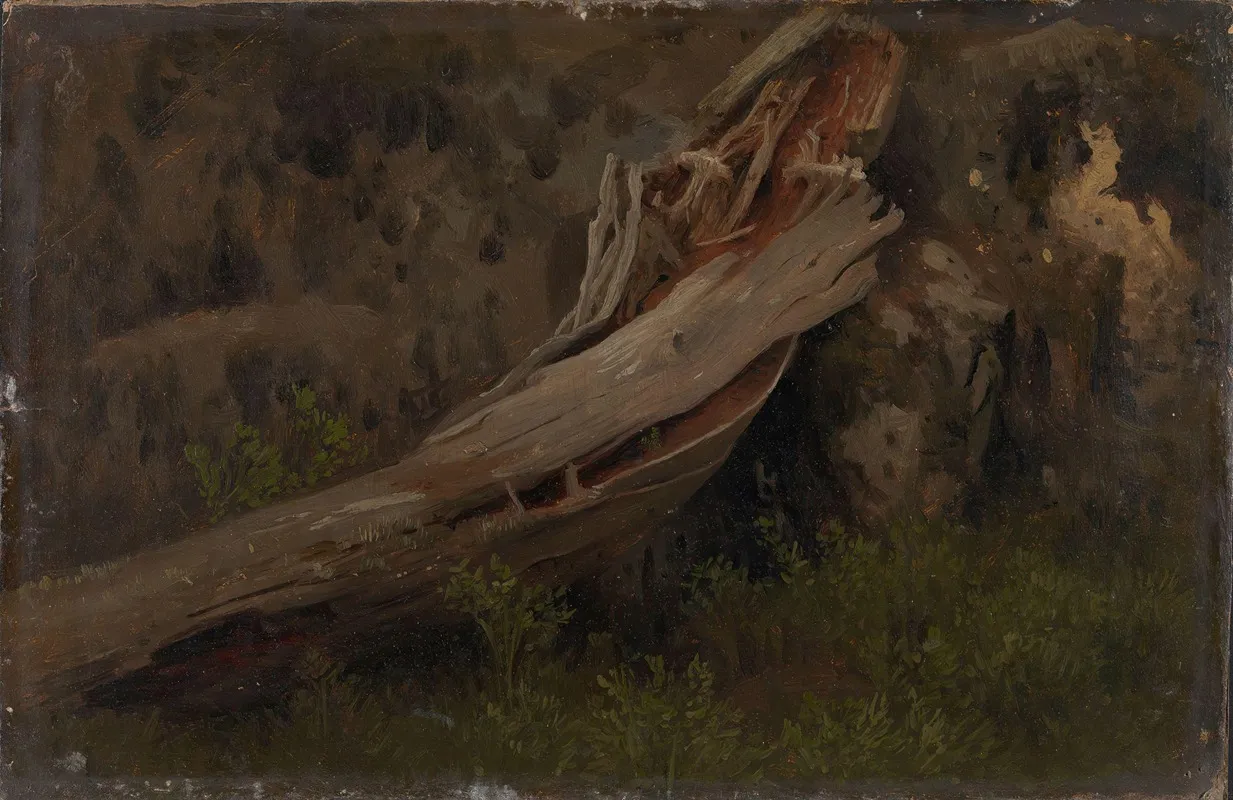 Study Of A Decaying Trunk
