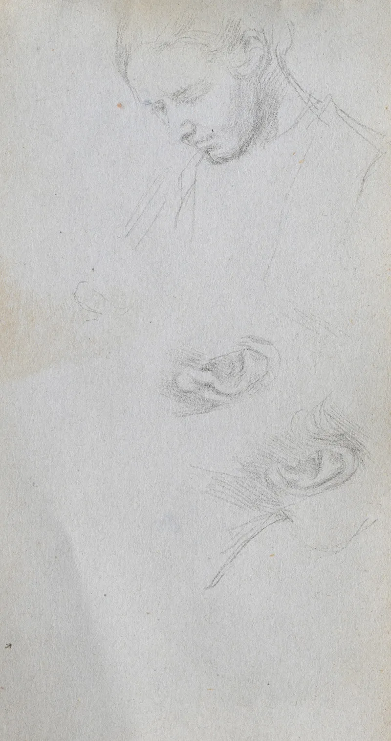 Study Of A Face Ears