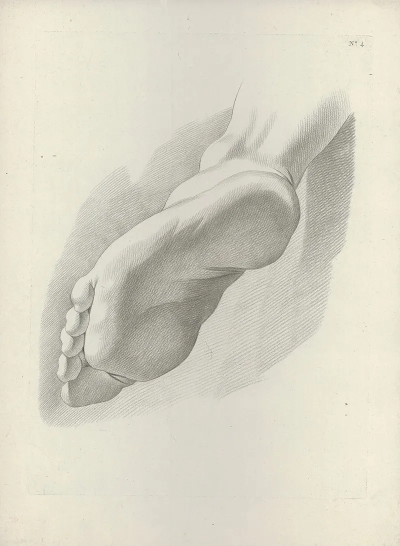 Study Of A Foot by J. F Cazenave - Canvas Print