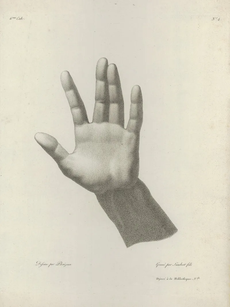 Study Of A Hand 20 by Philippe Louis Parizeau - Canvas Print