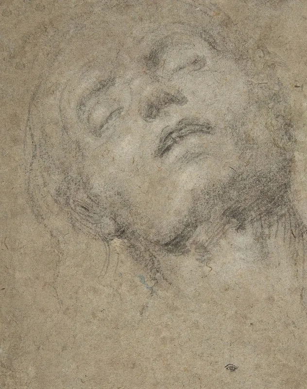 Study Of A Head 8
