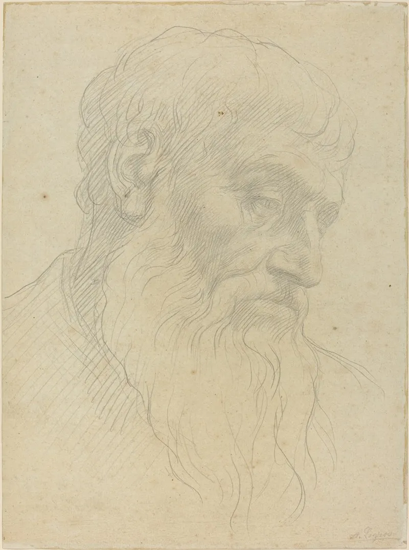 Study Of A Head