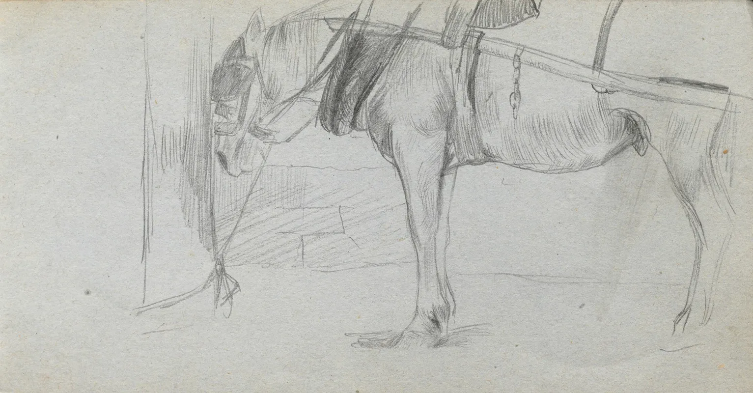 Study Of A Horse 2