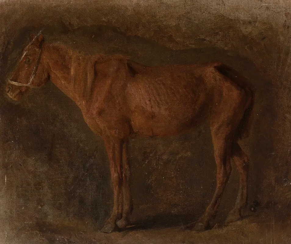 Study Of A Horse 7