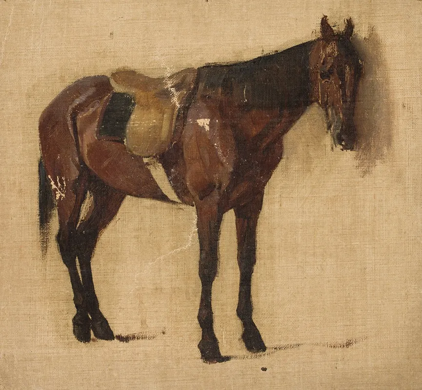 Study Of A Horse 8