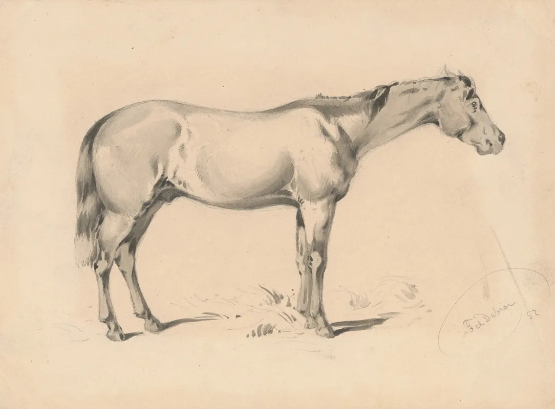 Study Of A Horse I by Friedrich Carl von Scheidlin - Canvas Print