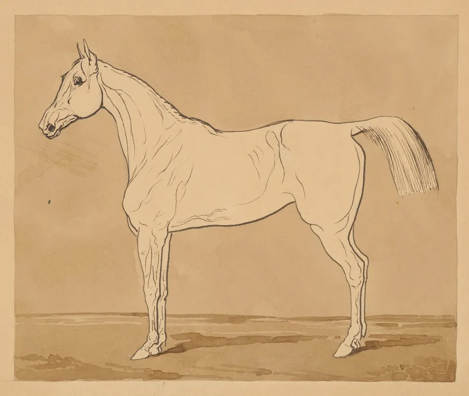 Study Of A Horse Ii by Friedrich Carl von Scheidlin - Canvas Print