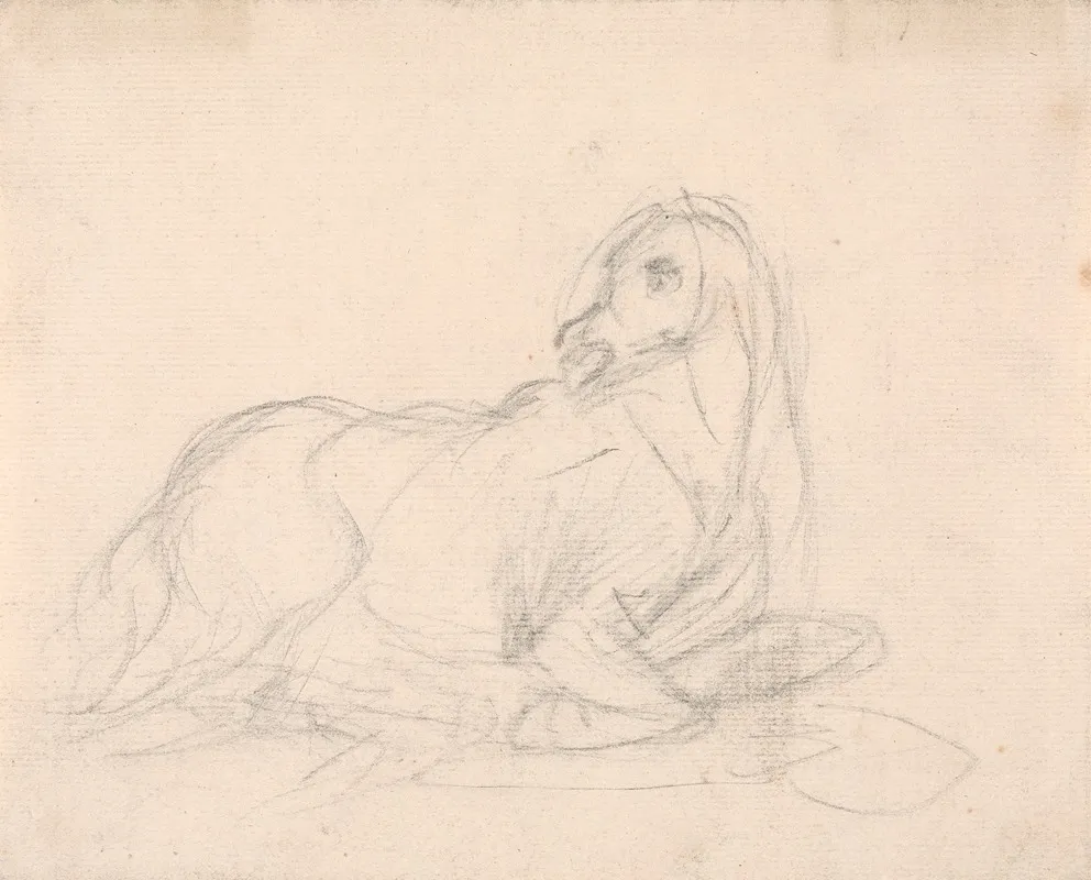Study Of A Horse Lying Down 2