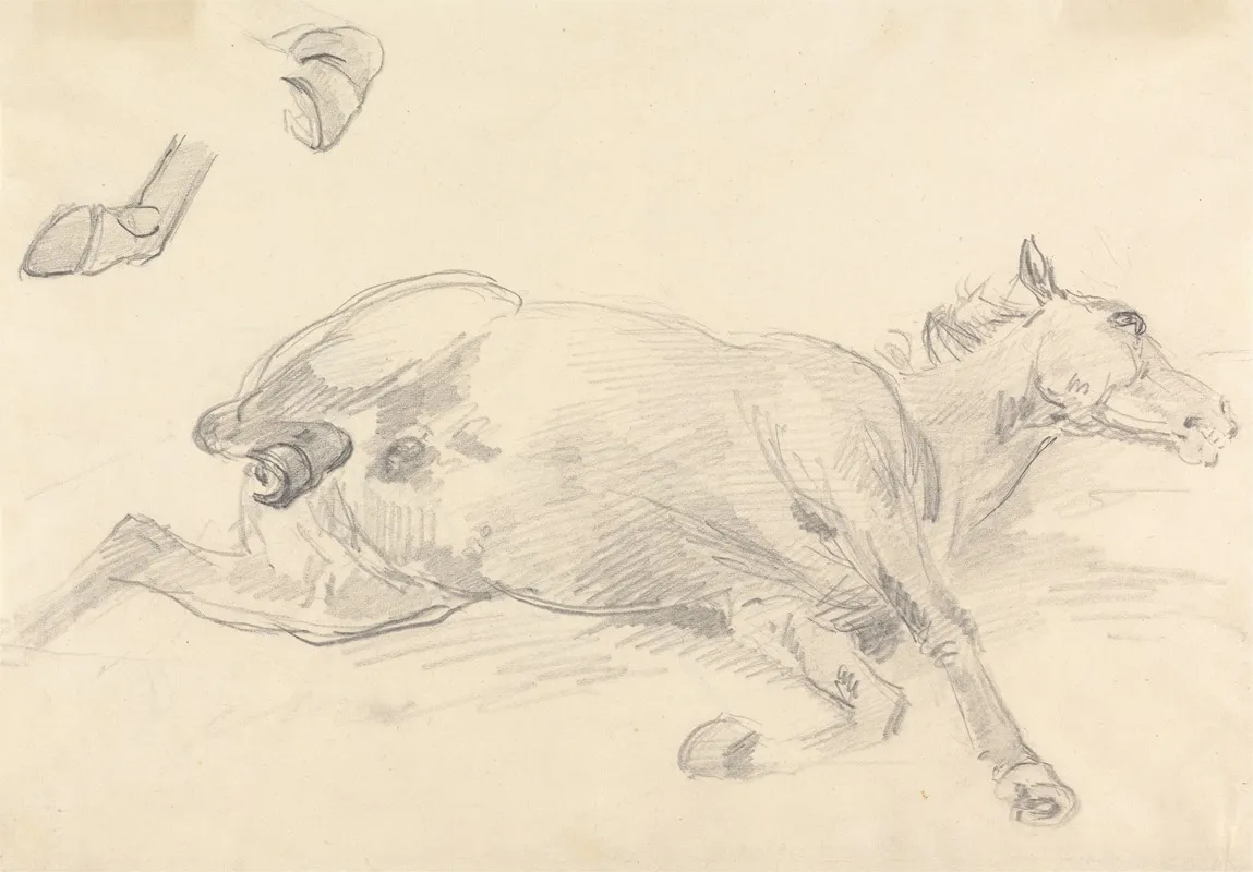 Study Of A Horse Lying Down