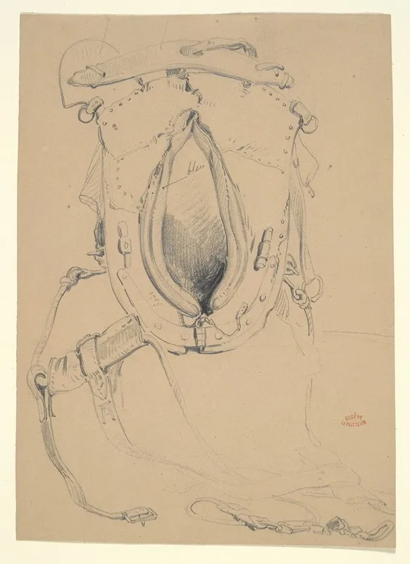 Study Of A Horses Harness