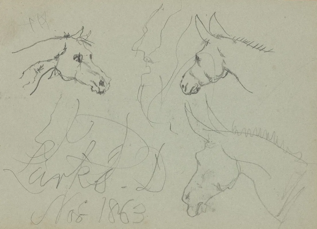 Study Of A Horses Head And Two Donkeys