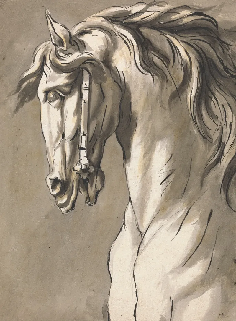 Study Of A Horses Head by John Michael Rysbrack - Canvas Print