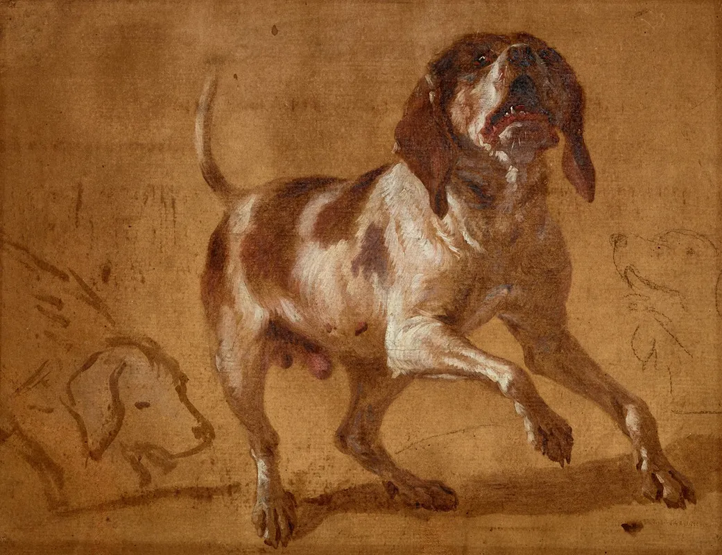 Study Of A Hound Baying