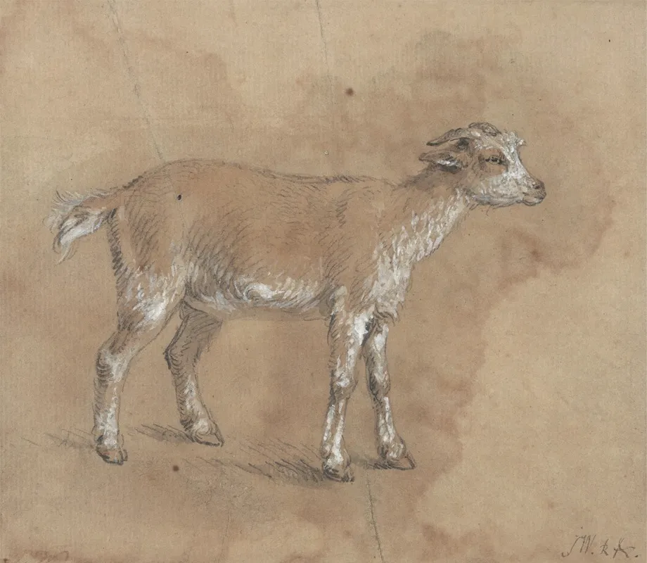 Study Of A Kid by James Ward - Canvas Print