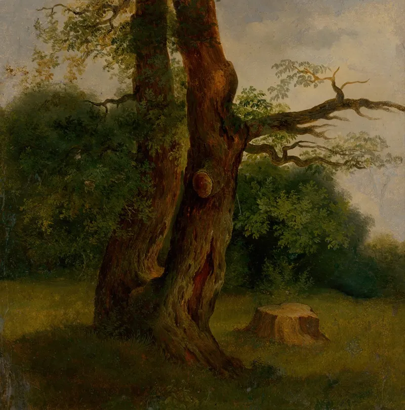 Study Of A Leafy Tree