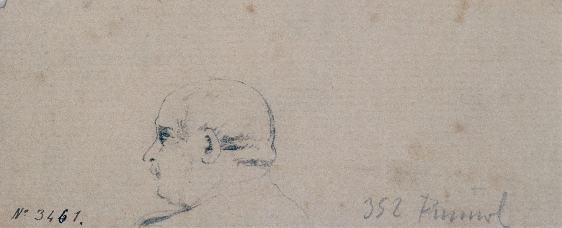 Study Of A Male Head